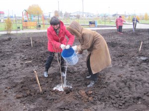 «Зеленая акция» в  г.Азнакаево