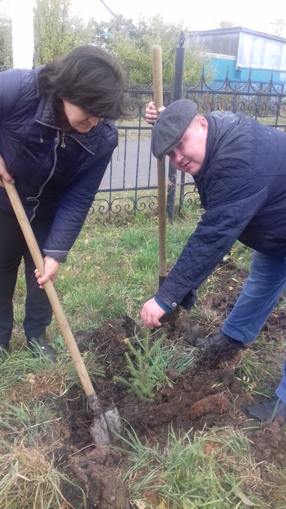 Посадка деревьев в Аллее Героев