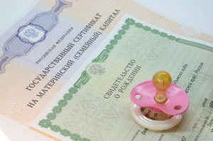 В 2016 году материнский капитал можно будет направить на социальную адаптацию и интеграцию в общество детей-инвалидов