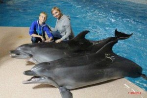 Сходили в дельфинарий