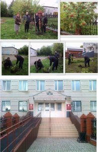 В зеркале ландшафтного дизайна и интерьера