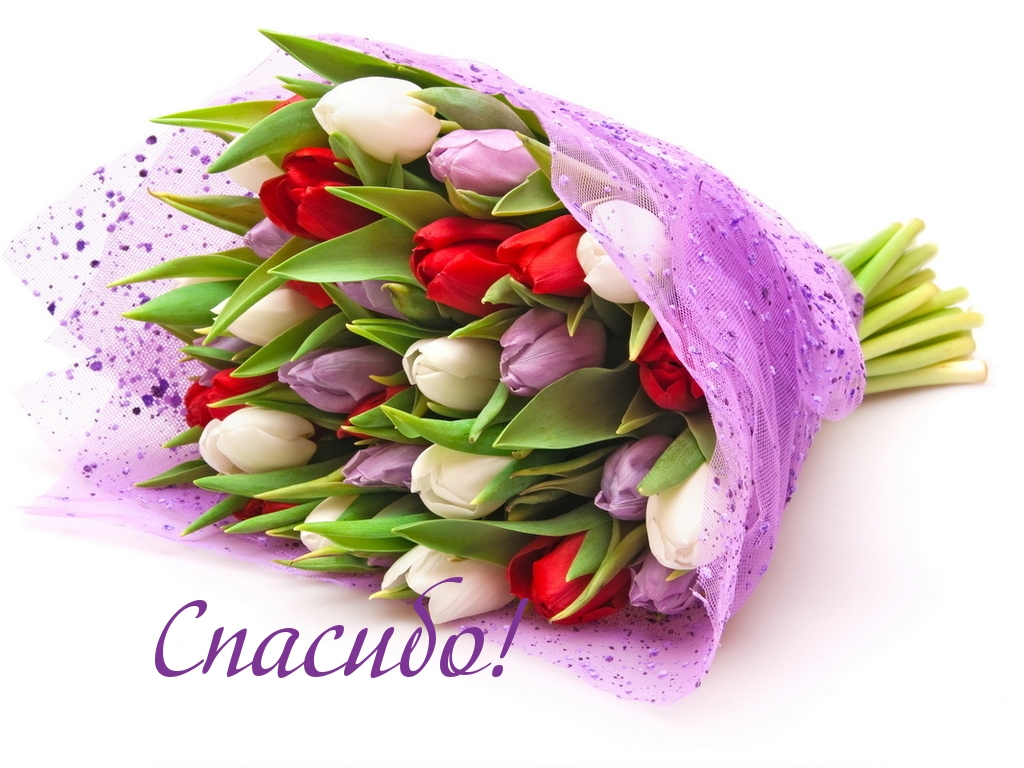 Благодарность 