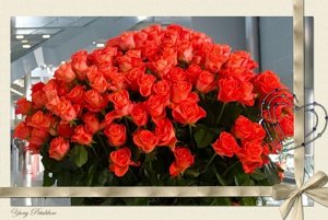 Награждение победителя конкурса «Лучший страхователь 2011»