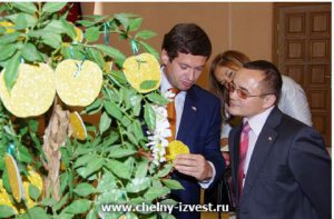 Доброта спасет мир!