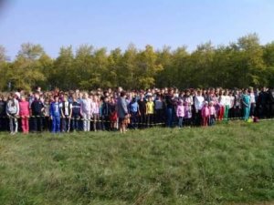 «Кросс наций»